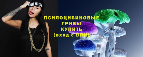 дурь Верея
