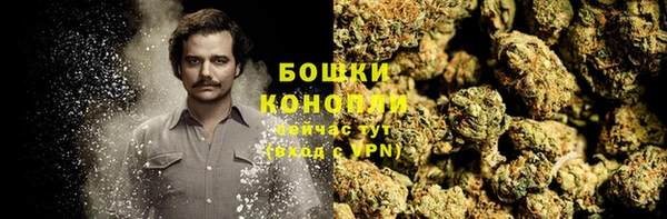 дурь Верея