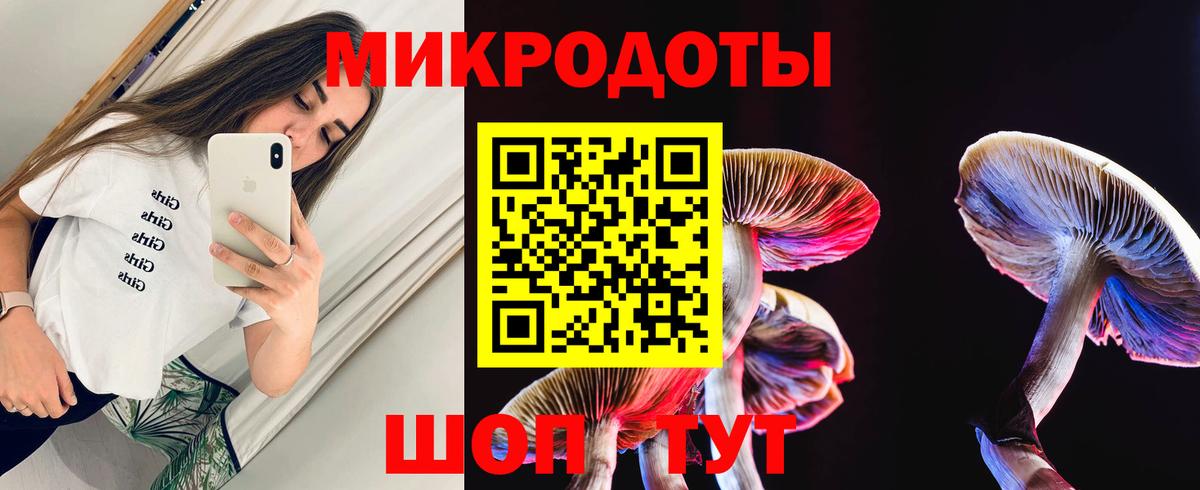 Псилоцибиновые грибы мицелий Рузаевка